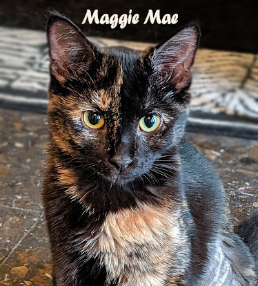 Maggie-Mae